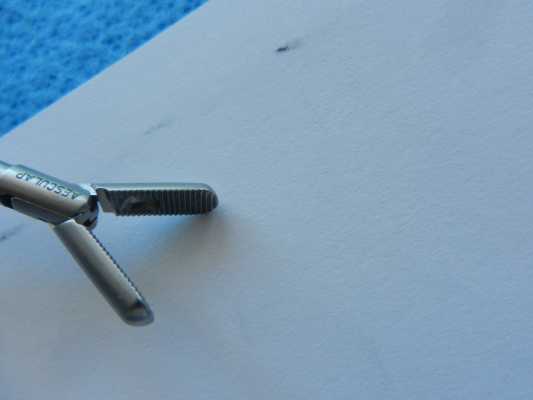 Aesculap Surgical Bullet Nose Grasping Insert 5mm x 31cm PO735R - Image 3