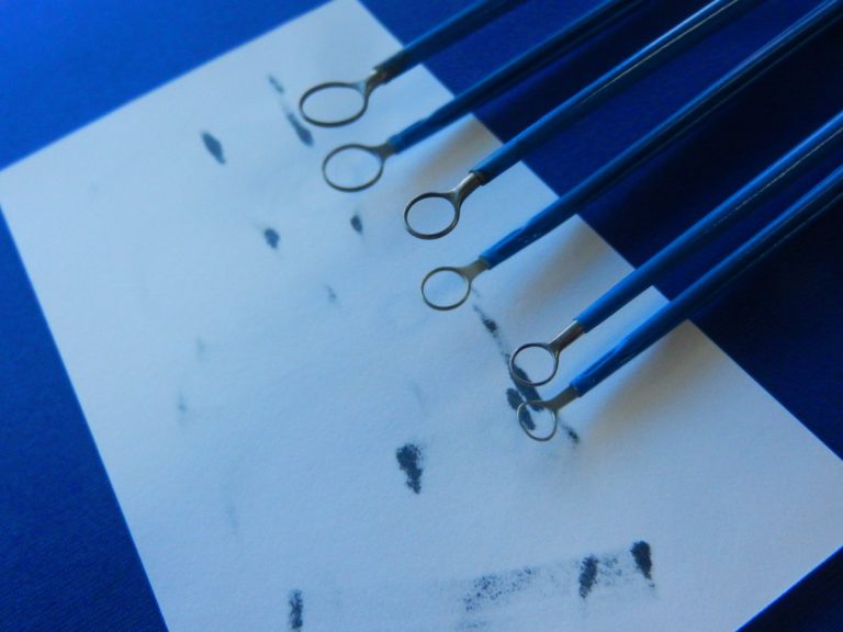 Codman Circular Loop Bipolar Irrigating Forceps Set of 3 – Ringle ...