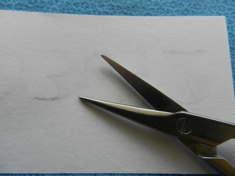 D3642 Weck Surgical 6-1/2in Scissors - Image 3