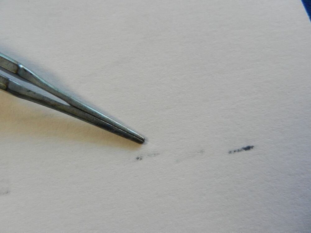 Wexler FL0820.2 Gerald DeBakey Straight 1.0mm Titanium Forceps 18.5cm Length - Image 4