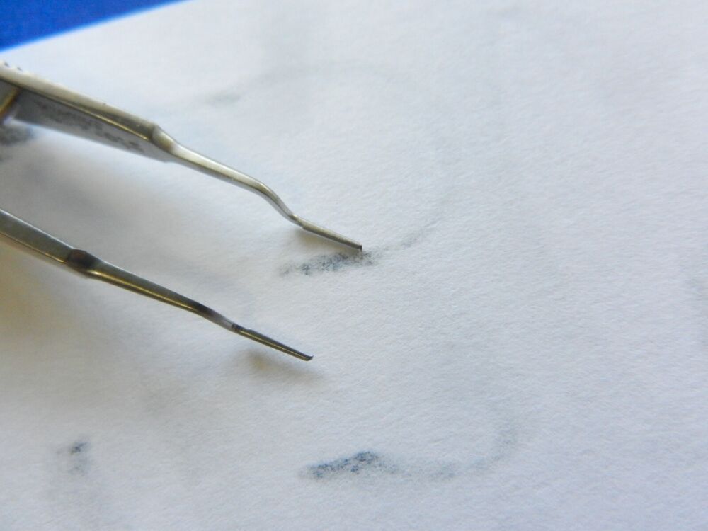 E2302 Storz E1785 Castroviejo 0.5mm Bayonet Forceps 106mm Length - Image 3