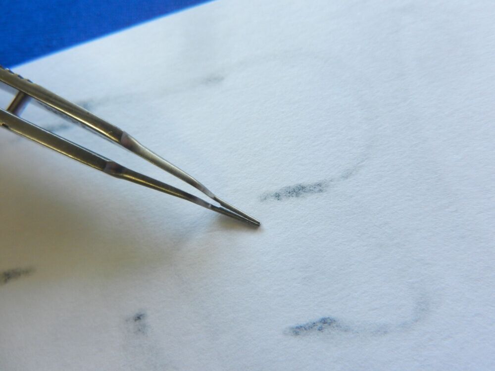E2302 Storz E1785 Castroviejo 0.5mm Bayonet Forceps 106mm Length - Image 4