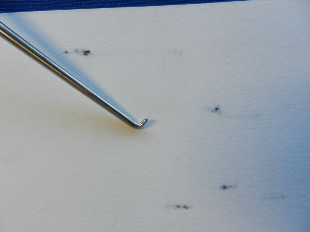 E4214 Koros 7225-15 Dandy Neuro Hook 9x12mm - Image 3