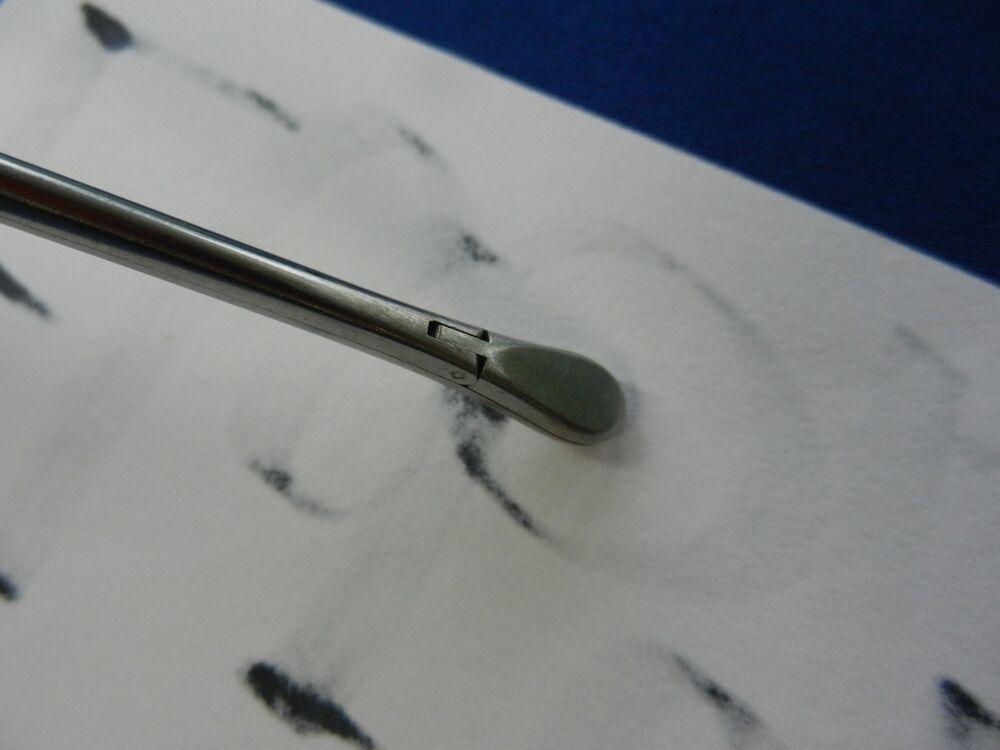 E6595 Storz N2404 Watson Williams Nasal Polyp No. 1 (6.0x8.0mm) Forceps 18cm - Image 3