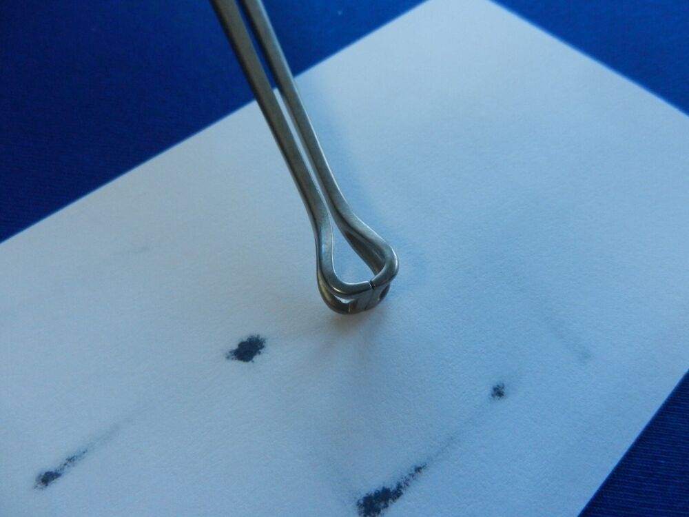 E56 Aesculap Surgical Babcock Forceps 8.5" Overall Length EA032R - Image 3