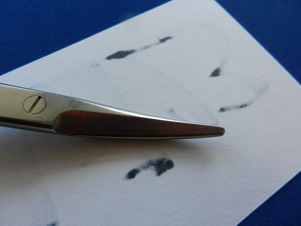 E6723 Aesculap BC253R Mayo Curved Blunt Tip Scissors - Image 3