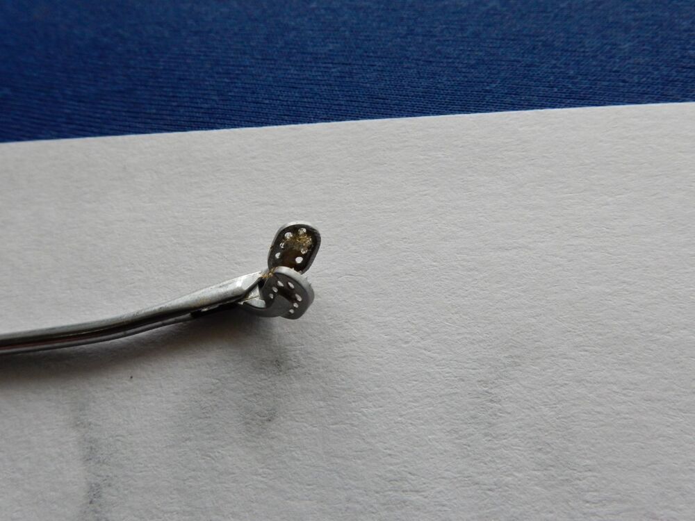 Storz 28022G Hopkins 90 Deg Forceps - Image 4