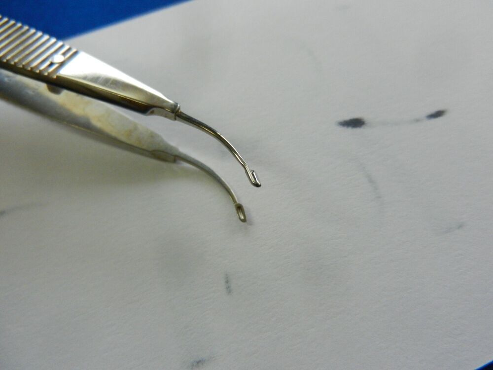 E1348 Storz Surgical Arruga Capsule Forceps E2016 - Image 3