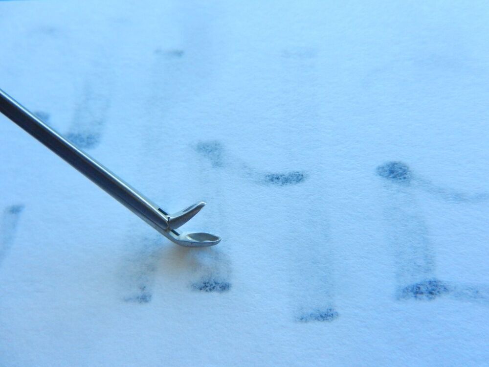 G145 Jarit 440-154 Strumpel Fenestrated Jaw 45 Degree Up Pediatric 105mm Long - Image 4