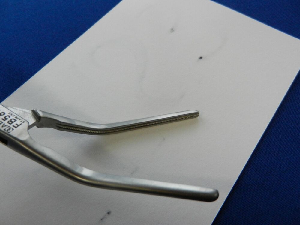 E4183 Aesculap FB567R Cooley Pediatric Clamp 165mm - Image 4