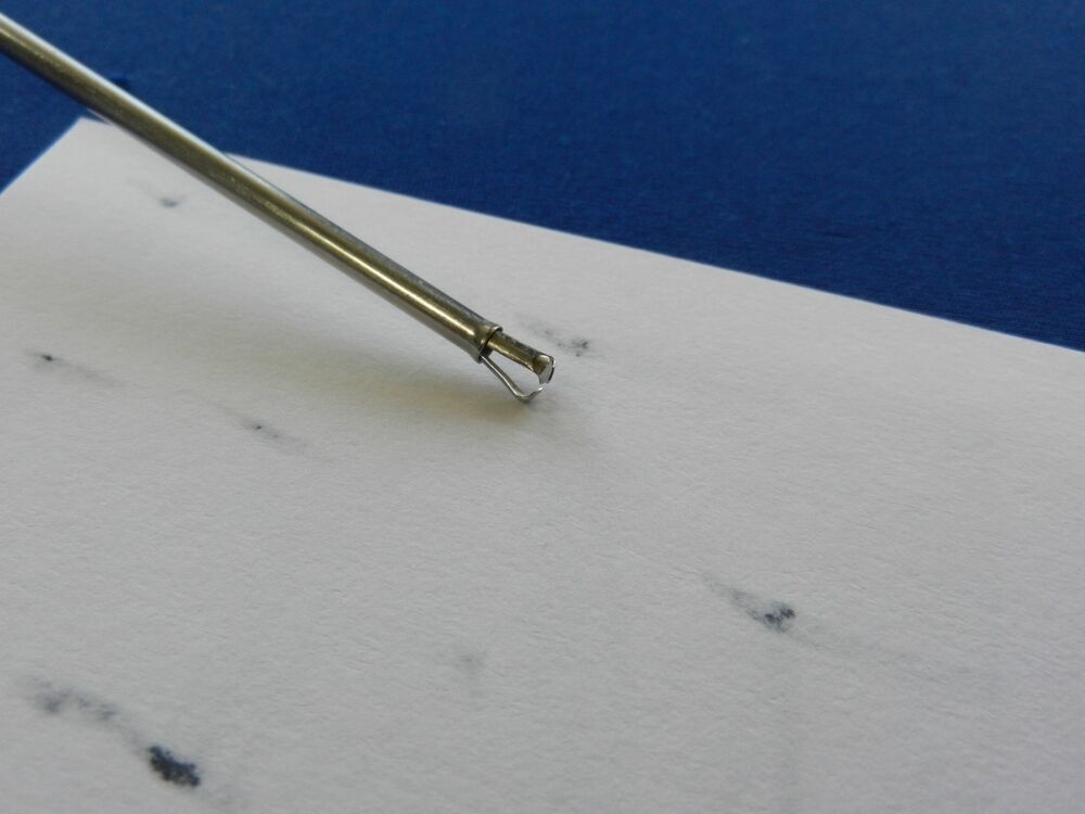 E7246 R. Wolf 8148.02 Laparoscopic Sponge Grasper Forceps 3mm x 30cm - Image 3