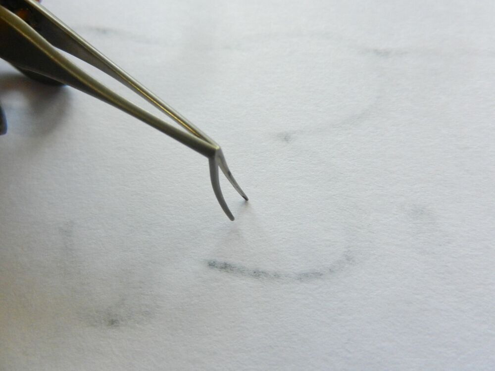 E2324 Storz Capsule Fragment Forceps 5.5cm Overall Length - Image 3