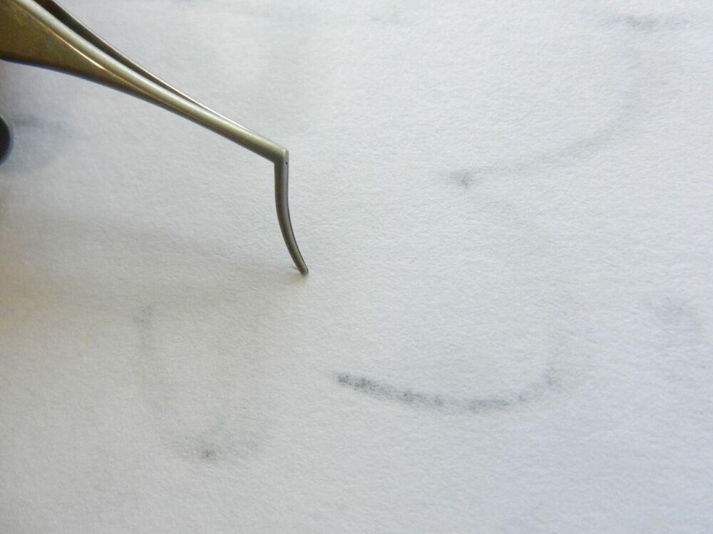 E2324 Storz Capsule Fragment Forceps 5.5cm Overall Length - Image 4
