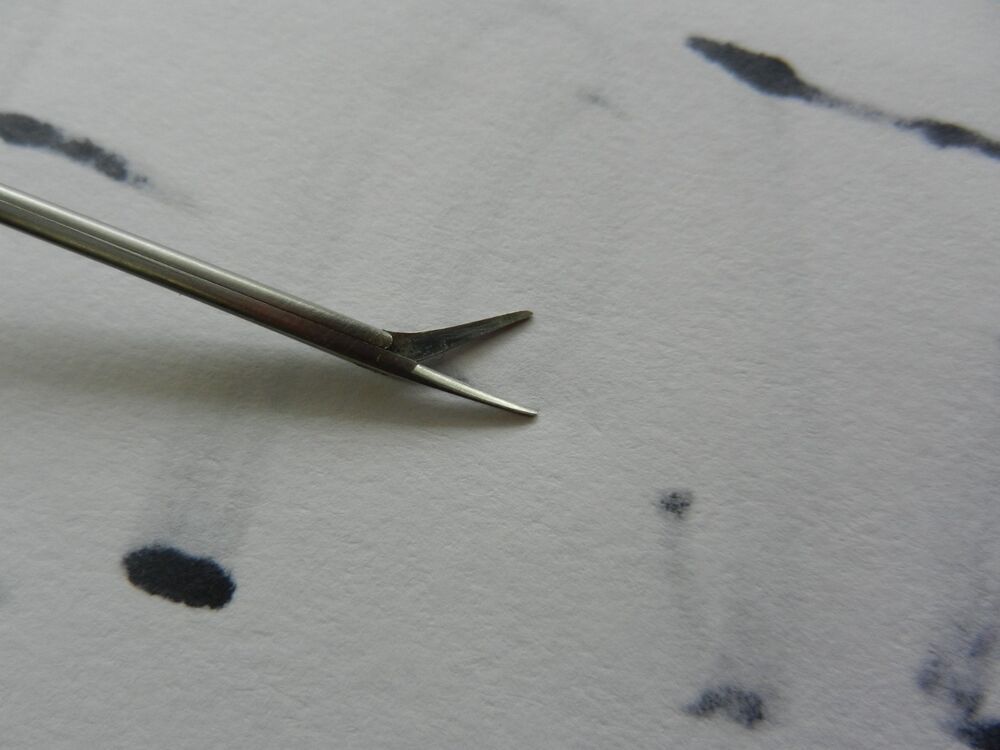 E6257 Storz N1705/QN Shea Bellucci Straight 8.0mm Extra Narrow Blade Scissors - Image 4