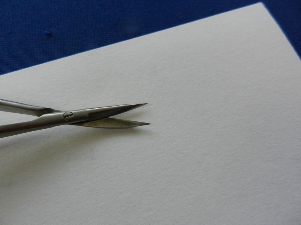 E7428 Ambler OS056 Westcott Curved Scissors - Image 3