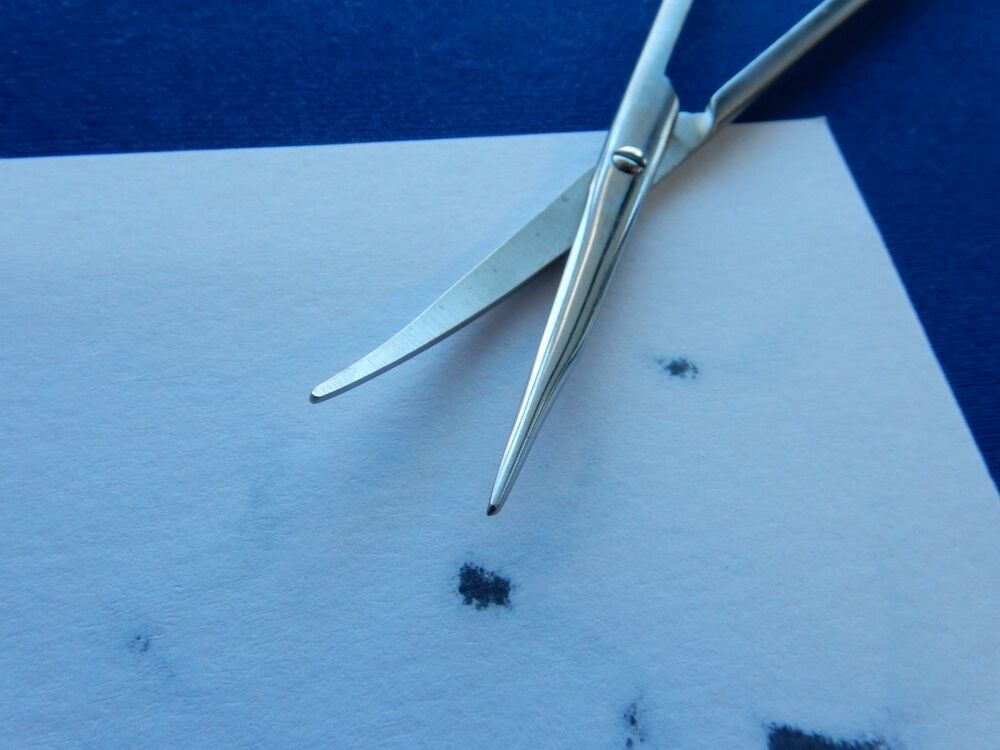Storz N5159 Stevens Curved Tenotomy Scissors - Image 4