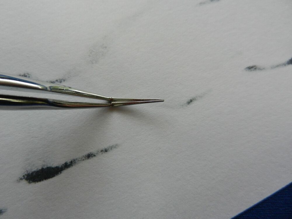 E5873 Storz E1814 Kelmen McPherson Type Angled Forceps - Image 4
