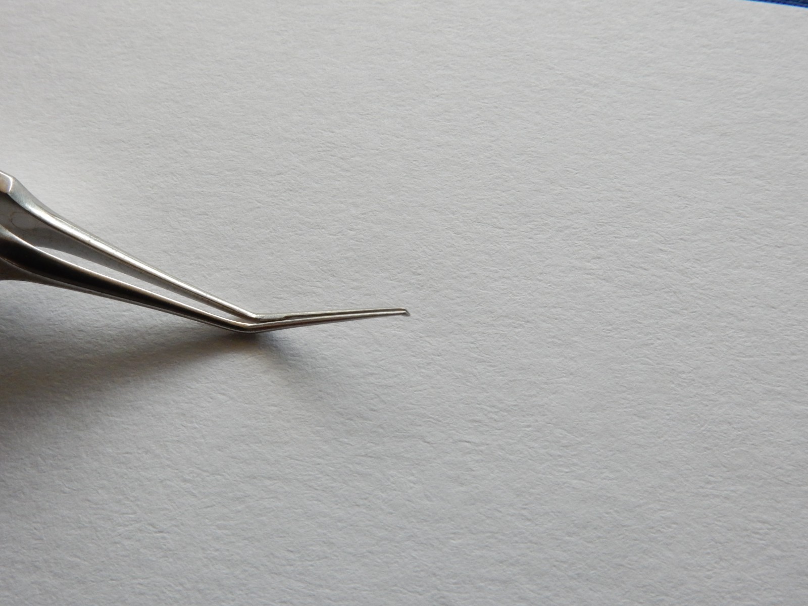 Millennium 92-F2350 Utrata Capsulorhexis Forceps 12mm Shanks - Image 4